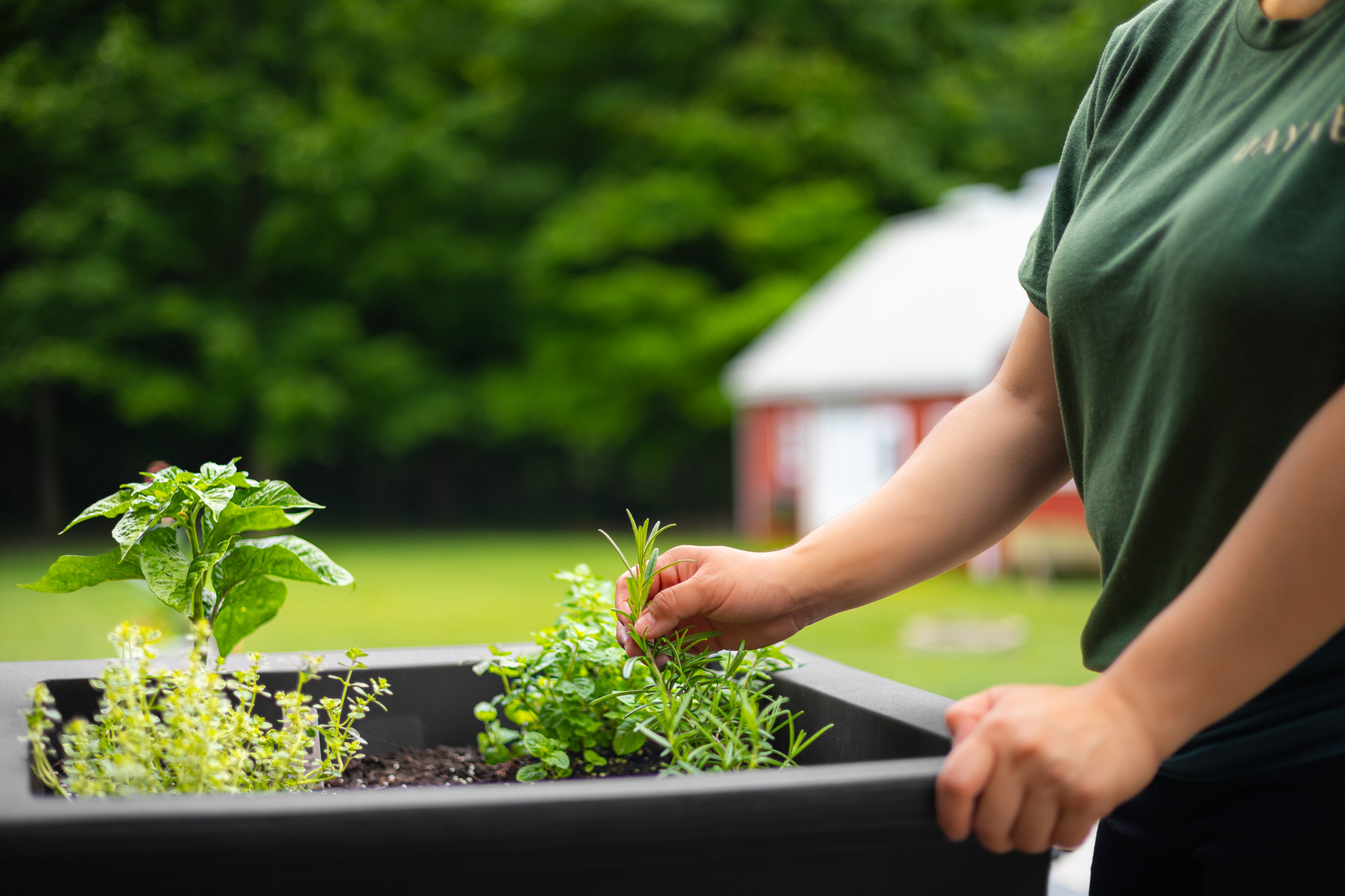 Mayne Fairfield 24-Inch Self-Watering Square Elevated Garden Bed with Wooden Legs