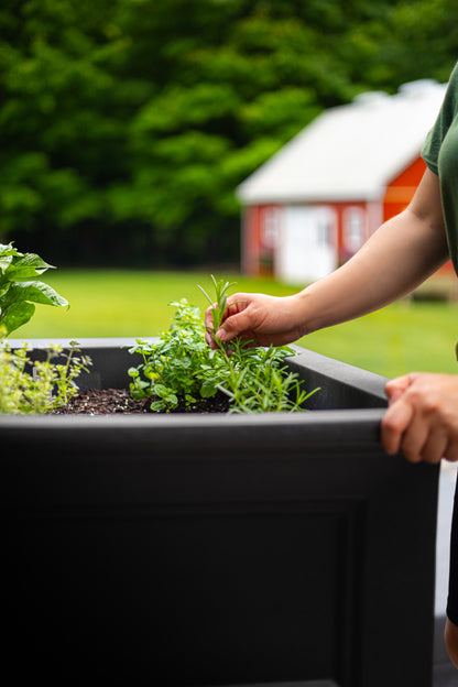 Mayne Fairfield 48-Inch Self-Watering Rectangle Elevated Garden Bed with Wooden Legs