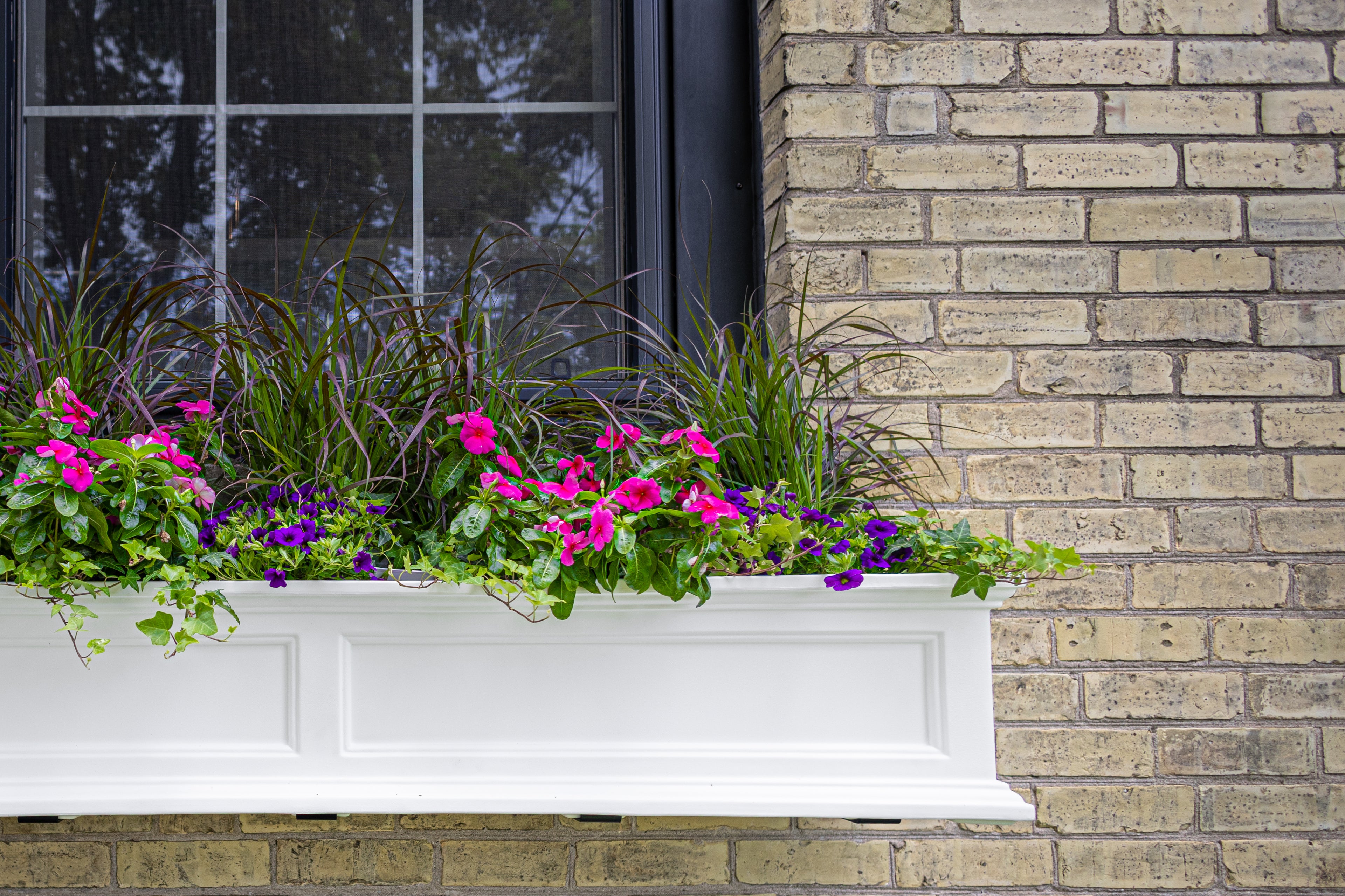 Mayne Fairfield 3ft Self-Watering Window Box with Steel Wall Mount Brackets