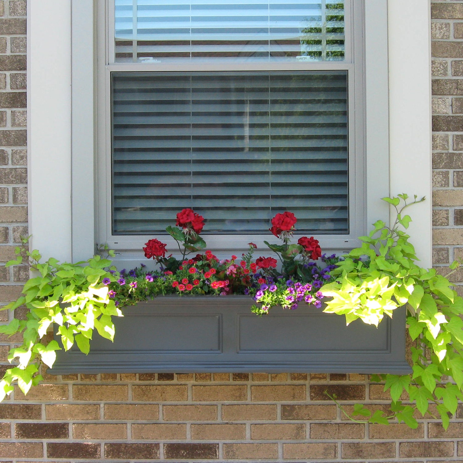 Mayne Fairfield 4ft Window Box