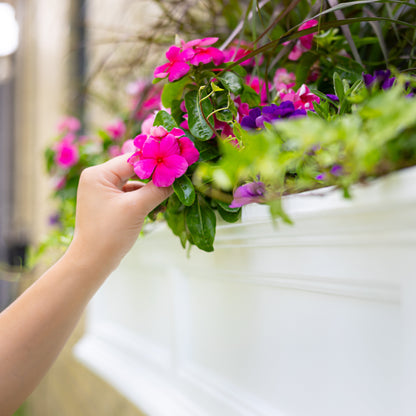 Mayne Fairfield 4ft Window Box