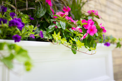 Mayne Fairfield 5ft Self-Watering Window Box with Steel Wall Mount Brackets