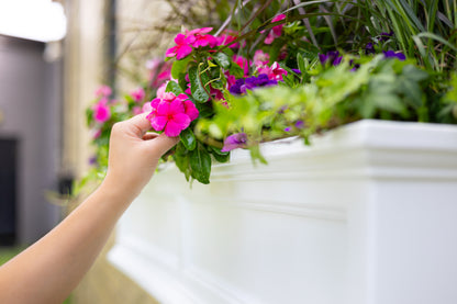 Mayne Fairfield 5ft Self-Watering Window Box with Steel Wall Mount Brackets