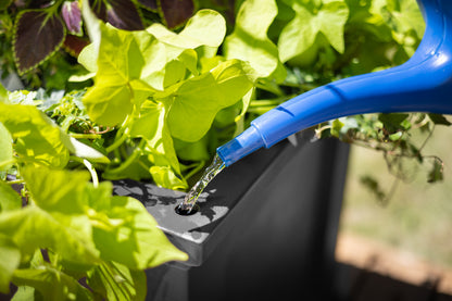 Mayne Fairfield 20x36-Inch Self-Watering Rectangle Planter