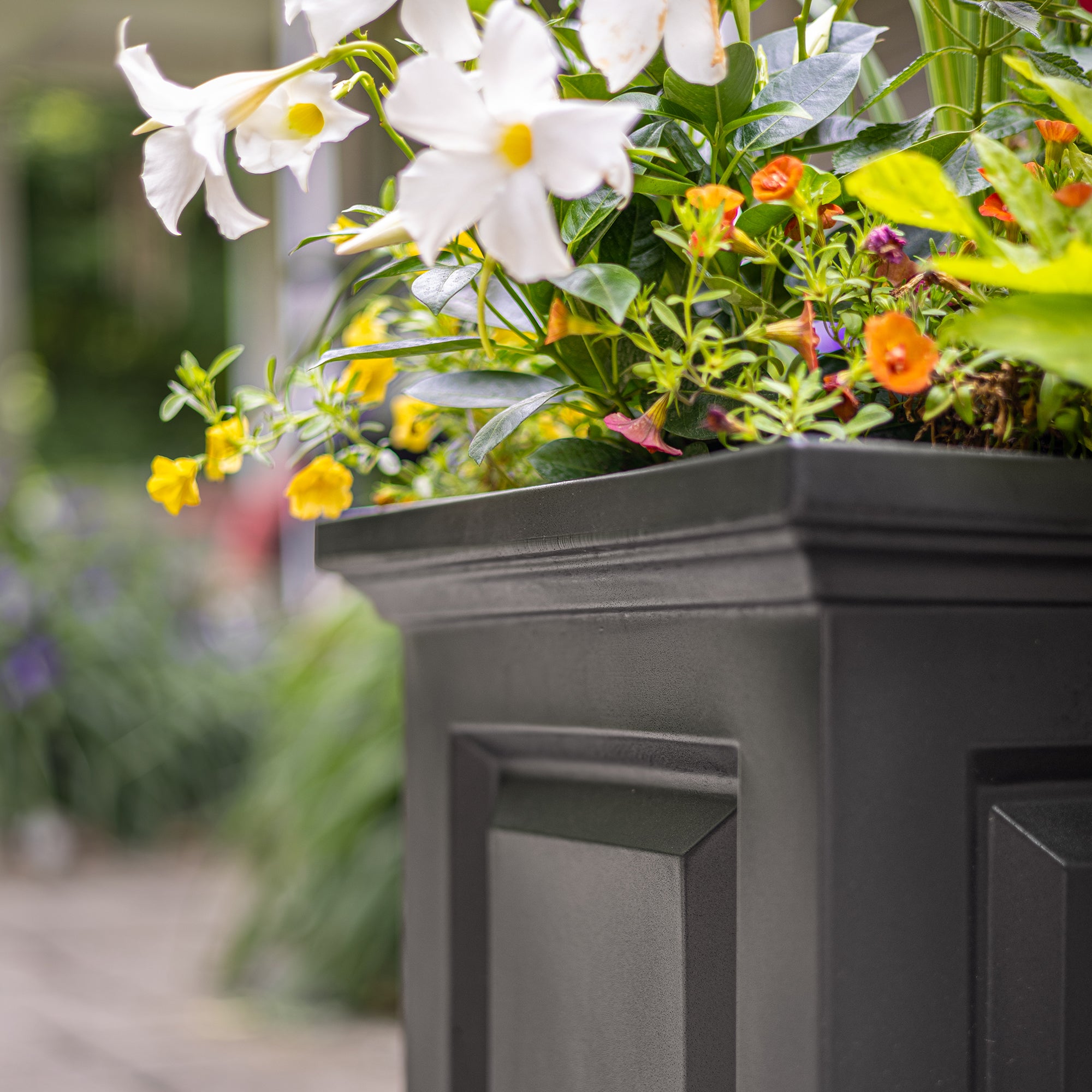 Mayne Nantucket 16-Inch Self-Watering Square Planter – Mayne Inc. US