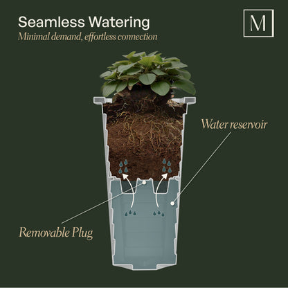 Mayne Lakeland 28-Inch Self-Watering Tall Planter with Removable Planting Insert (Cranberry Red)