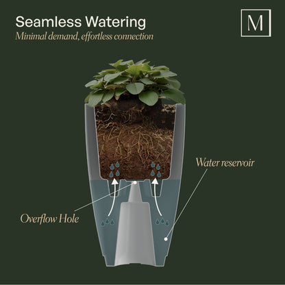 Mayne Caprio 26-Inch Self-Watering Tall Planter (Black)