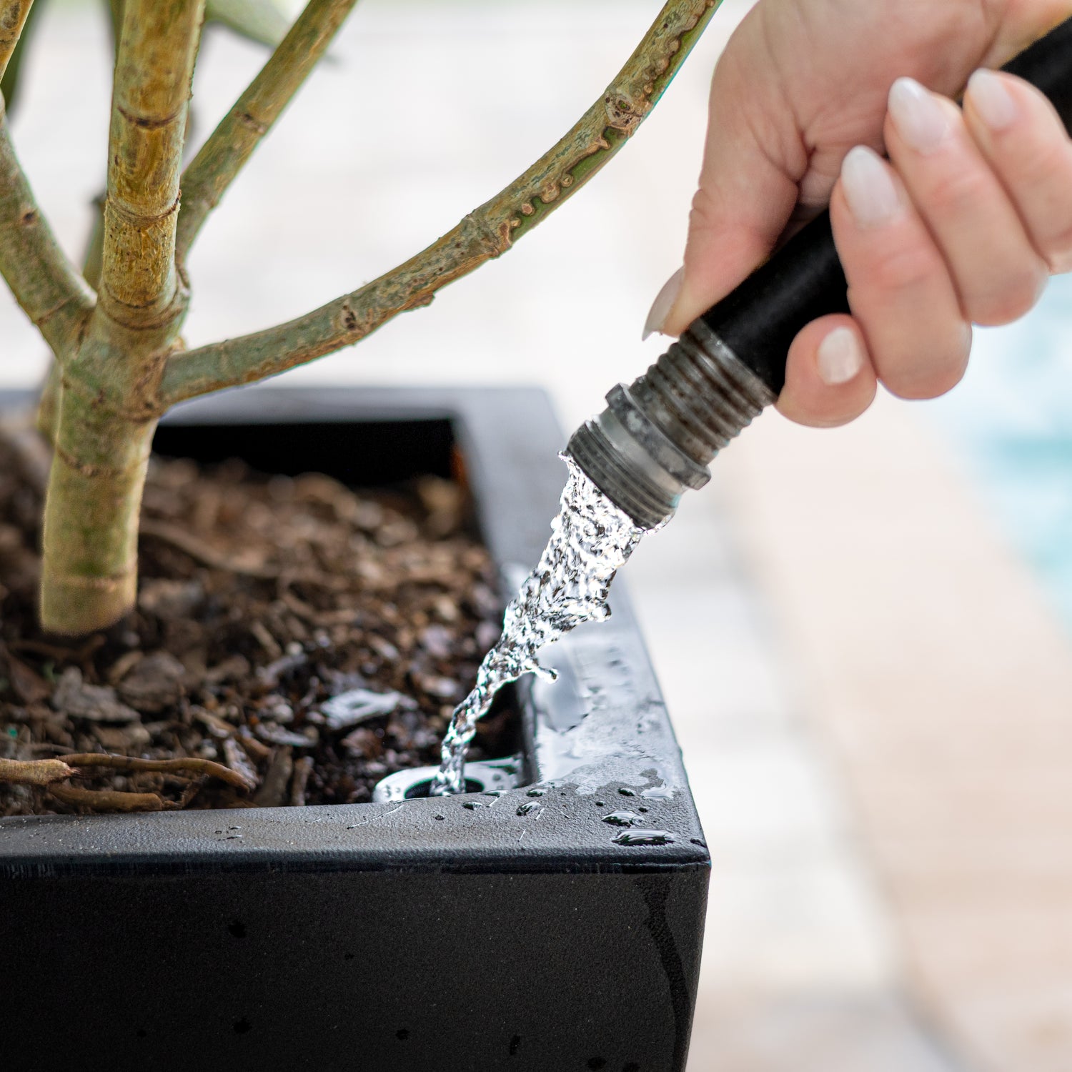 20 inch self watering planter Acadia 20 in. Square Self-Watering Black Polyethylene Planter