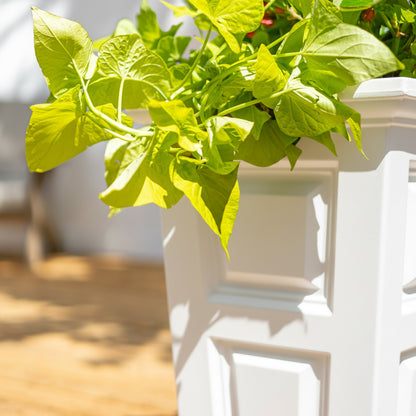 Mayne Wyndham 24-Inch Self-Watering Tall Planter with Removable Planting Insert