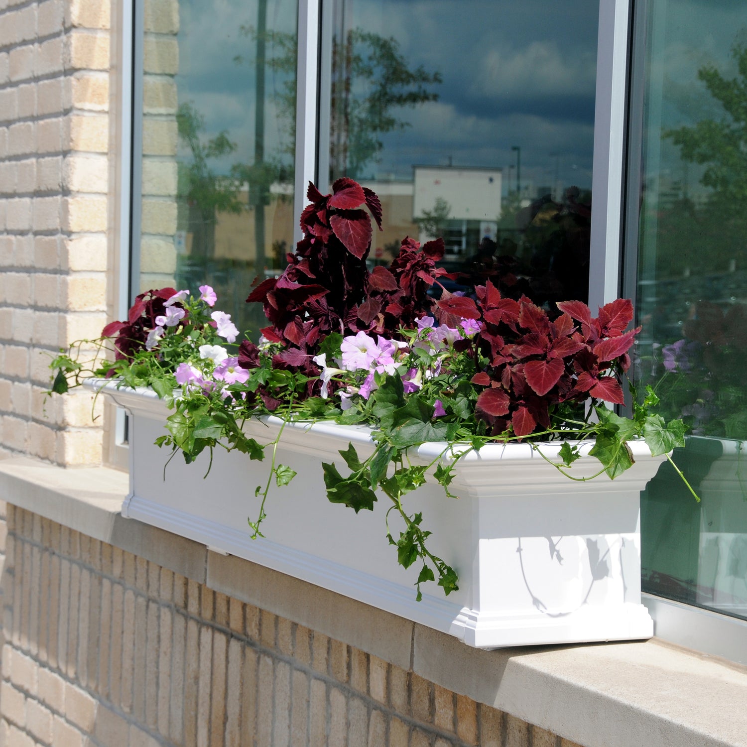 white window box planters Mayne Yorkshire 7ft Window Box