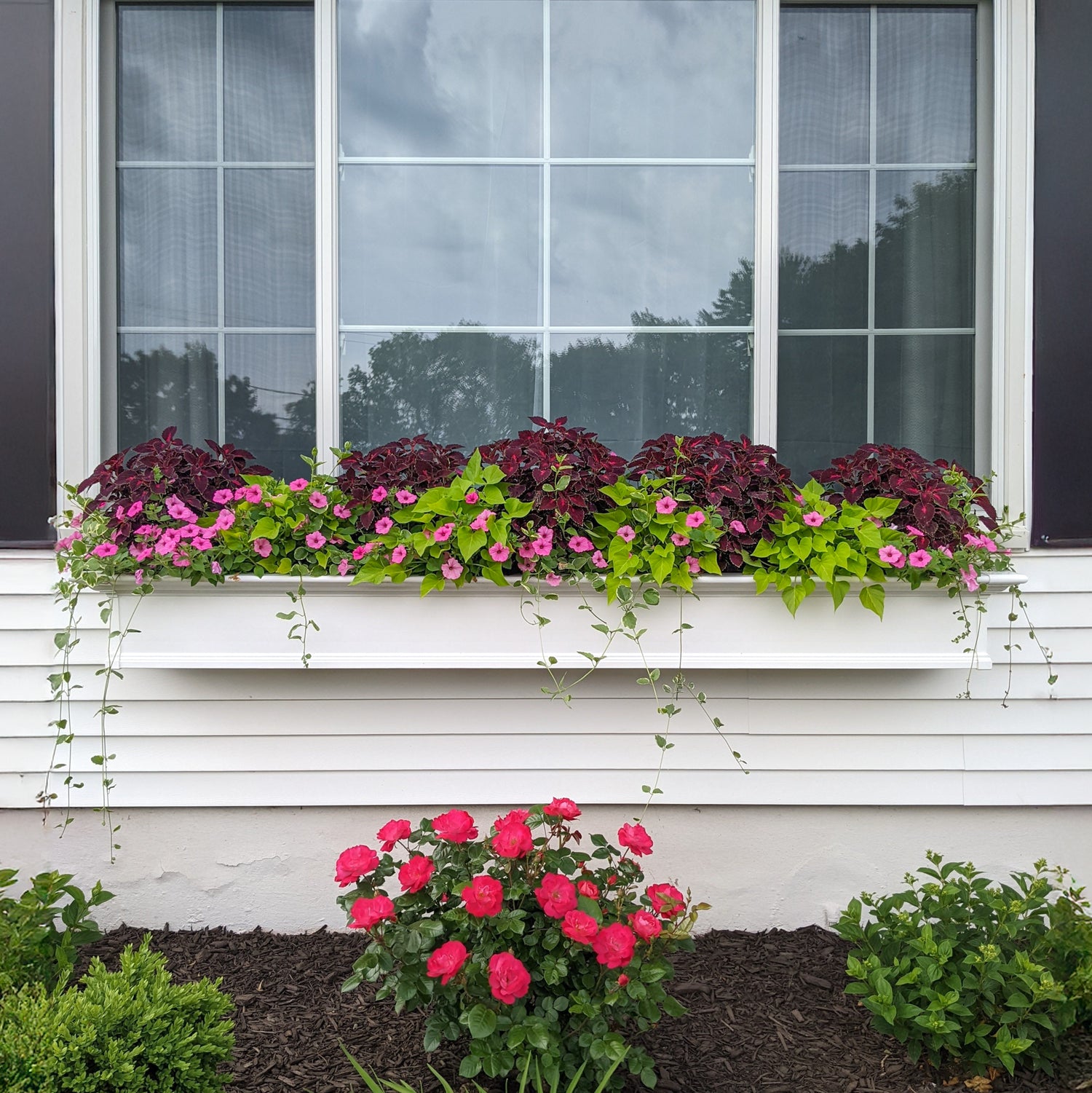 Mayne Yorkshire 7ft Self-Watering Window Box with Steel Wall Mount Brackets