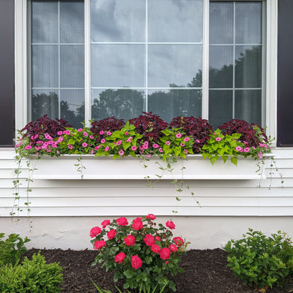 Mayne Yorkshire 7ft Self-Watering Window Box with Steel Wall Mount Brackets
