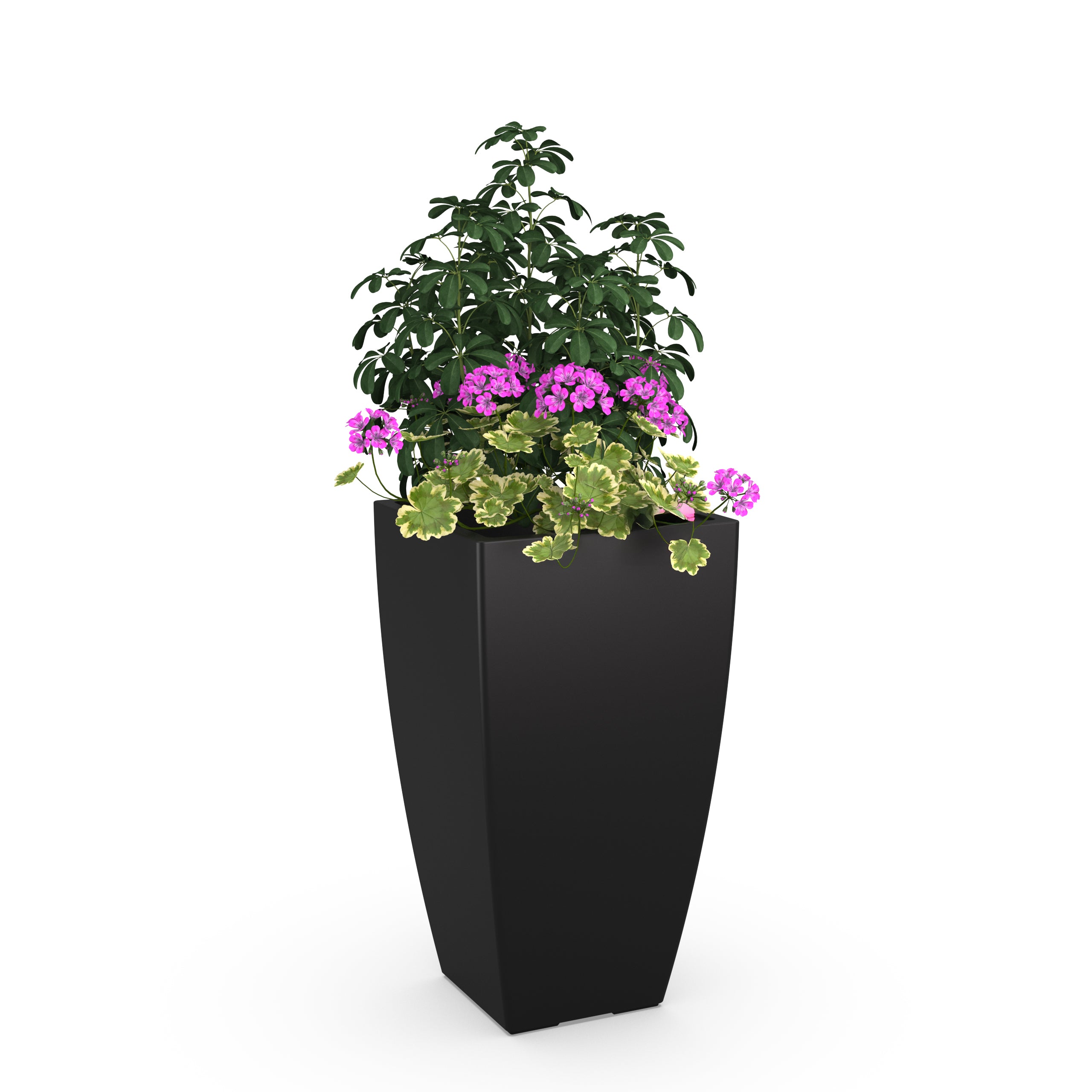 Bien POT BLACK エディション10 Bien POT BLACK エディション10 BIEN