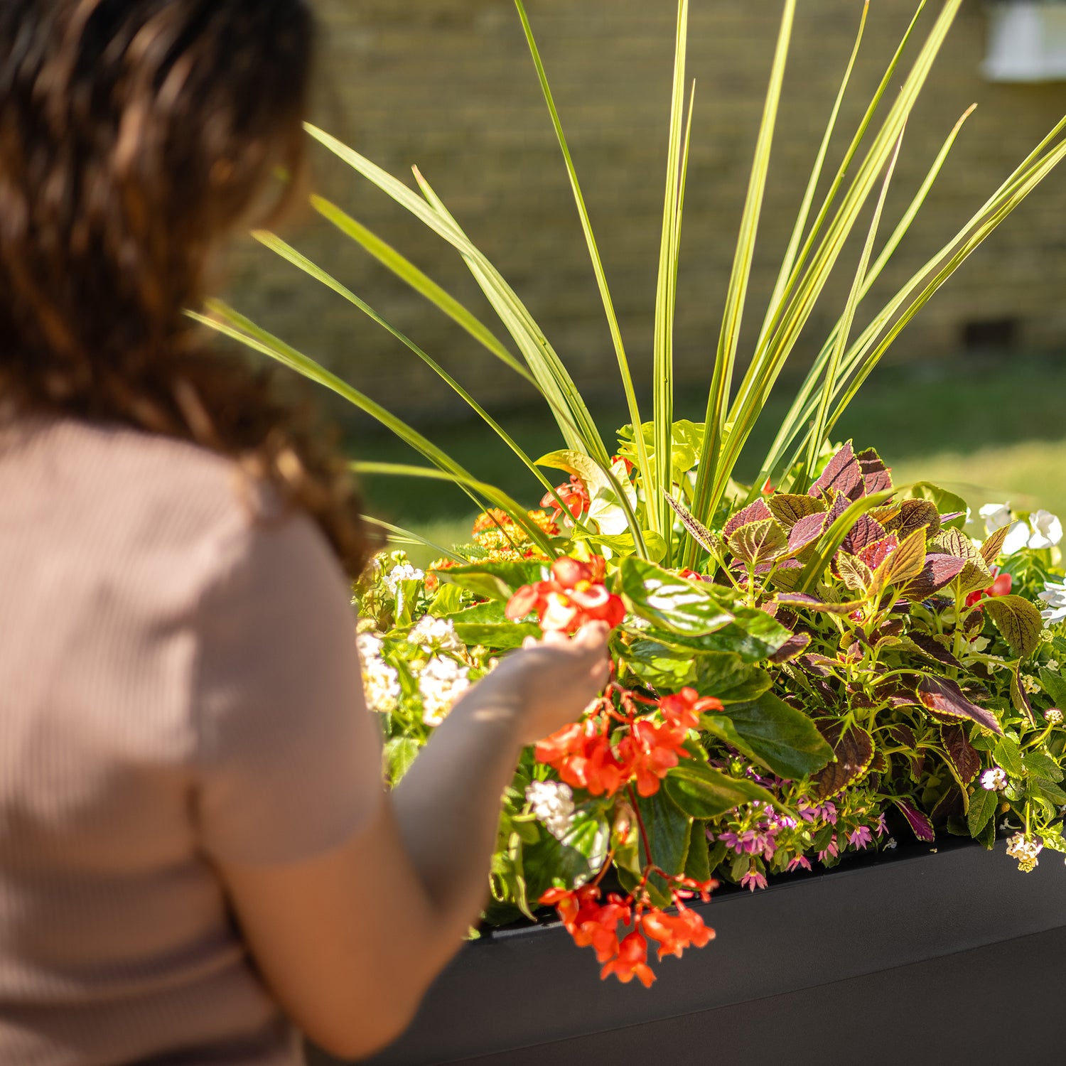 Mayne Bordeaux 40-Inch Indoor and Outdoor Tapered Trough Planter