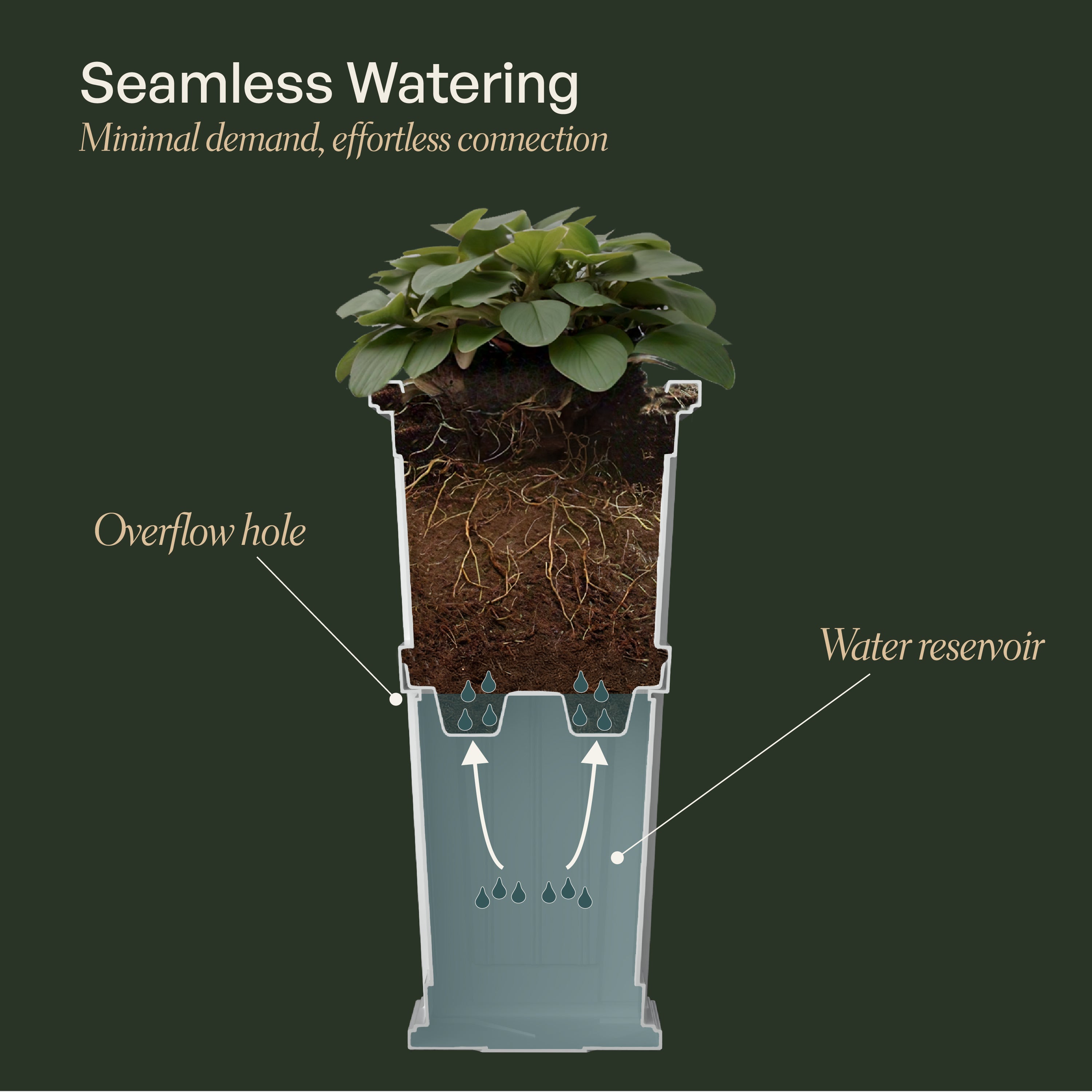 Mayne Cape Cod 32-Inch Self-Watering Tall Planter with Removable Planting Insert