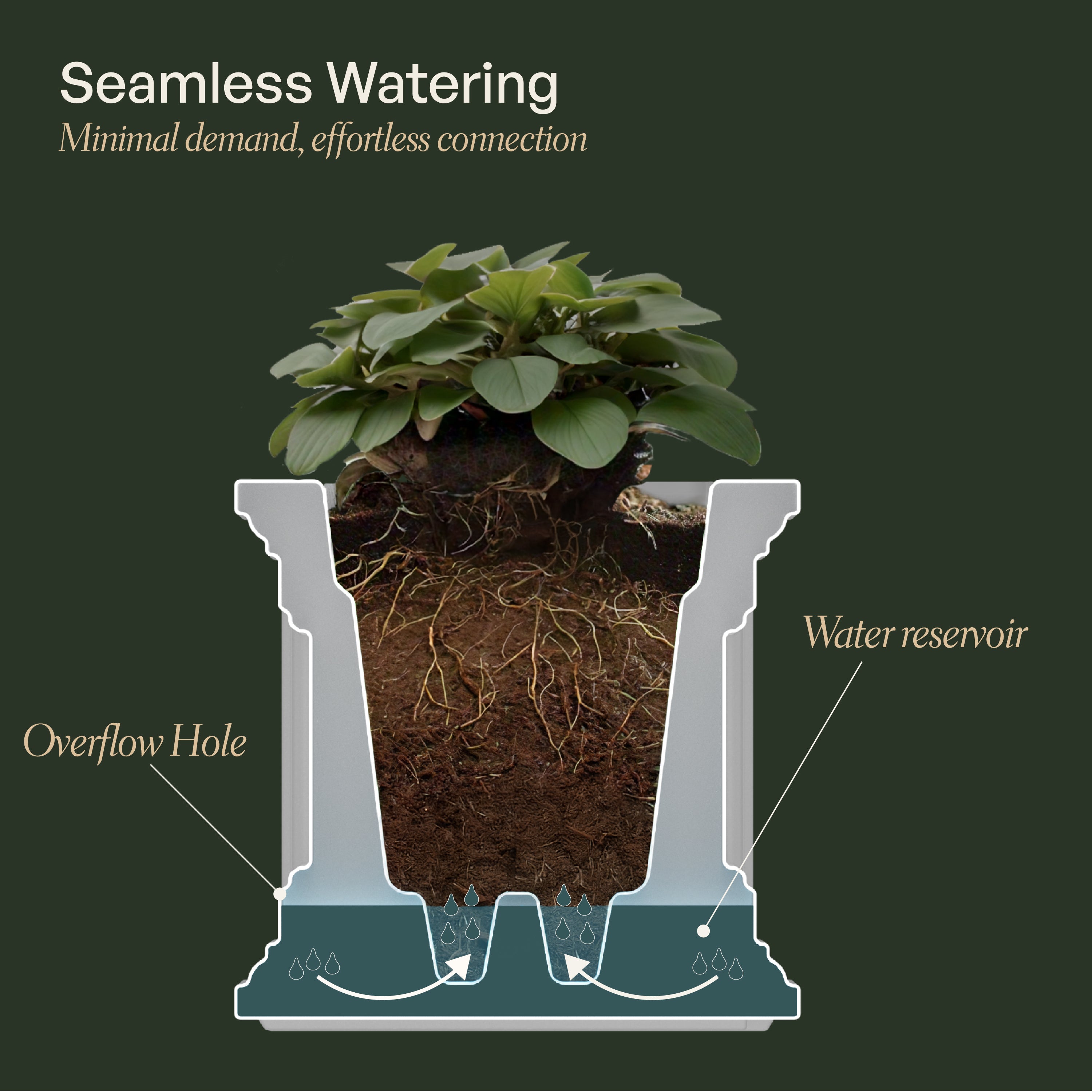 Mayne Cape Cod 24x11-Inch Self-Watering Rectangle Planter