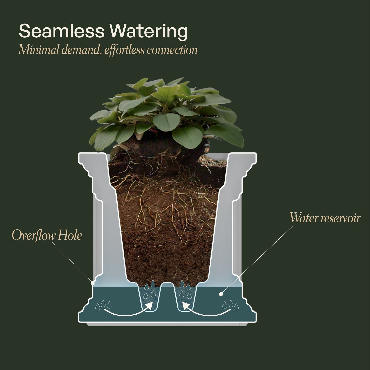 Mayne Cape Cod 3ft Self-Watering Window Box with Steel Wall Mount Brackets