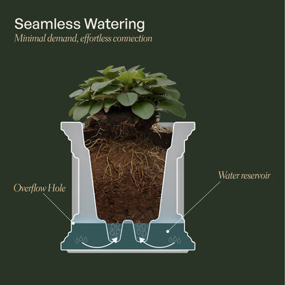 Mayne Cape Cod 16in Square Planter