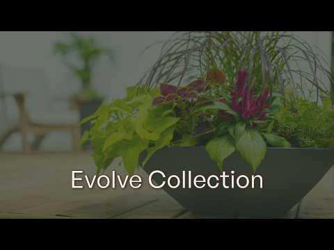 Mayne Evolve 20-Inch Square Tapered Bowl Planter