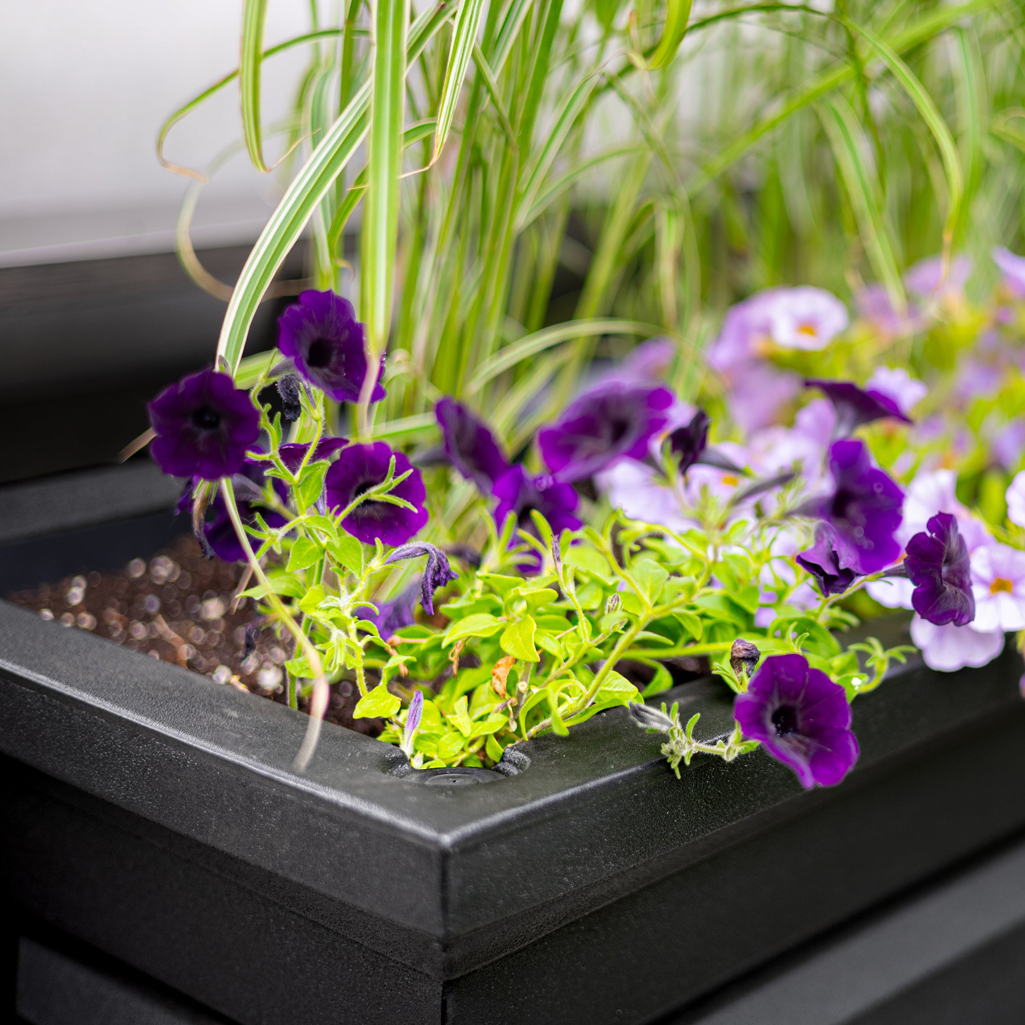 Mayne Nantucket 36-Inch Self-Watering Tall Rectangular Planter